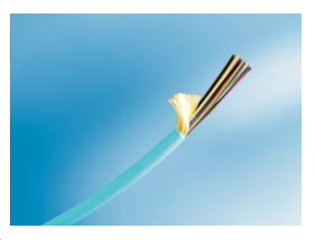 日喀則LazrSPEED 300室內多模主干光纜