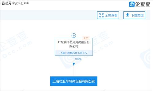 利揚(yáng)芯片戰(zhàn)略布局再升級(jí) 上海與海南全資子公司拓展信息系統(tǒng)集成服務(wù)