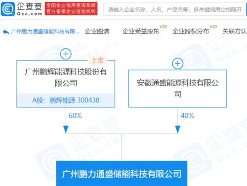 鵬輝能源布局儲(chǔ)能系統(tǒng)集成新賽道，成立億元級(jí)科技公司